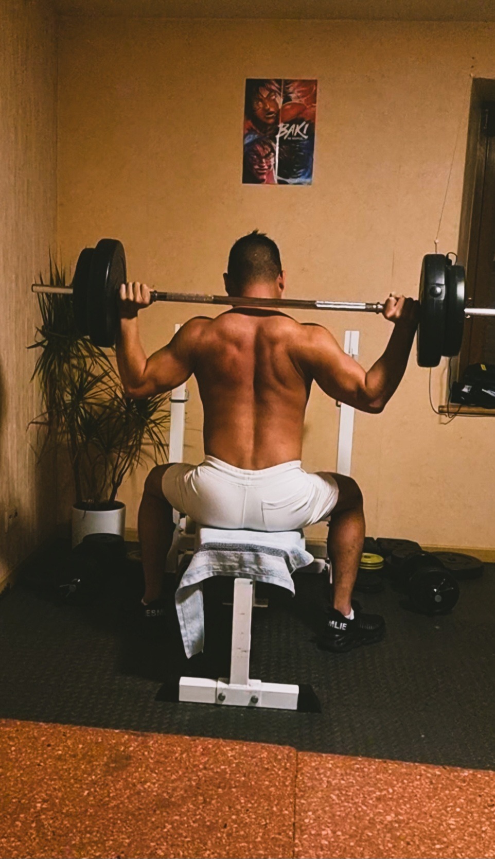 Perfil de Tertullien