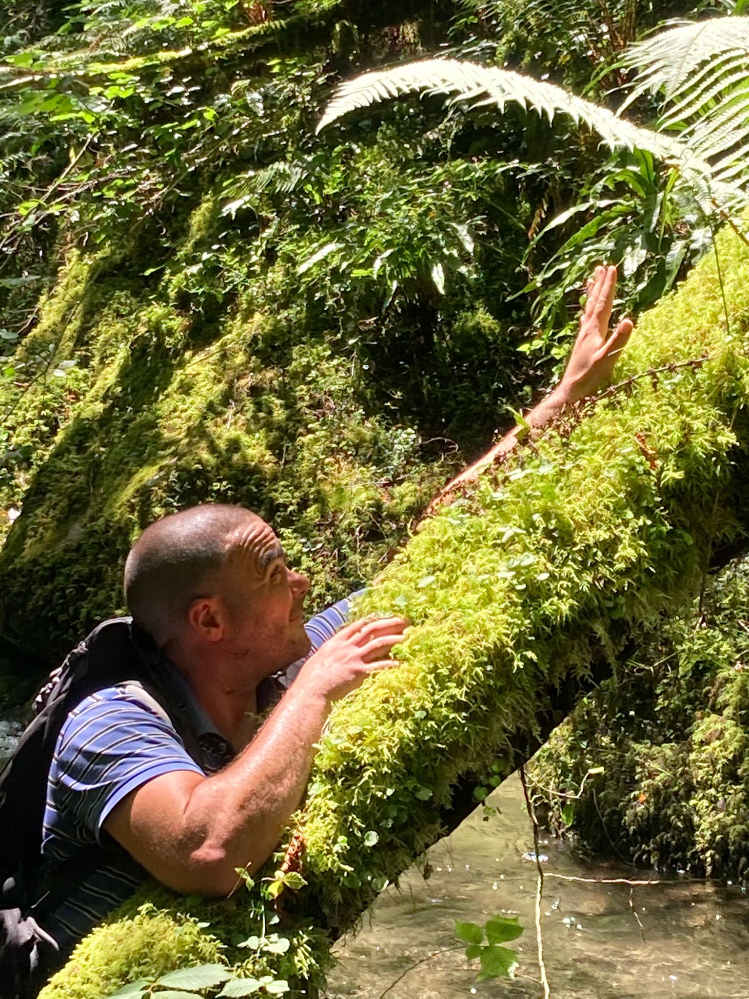 Perfil de Abdelrahim